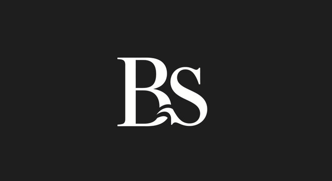 Elegant black and white bs lettermark logo design for branding