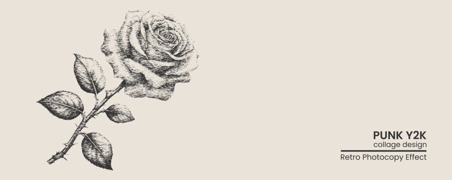 Vintage handdrawn rose illustration with a retro photocopy texture, aesthetic floral sketch for punk y2k collage design