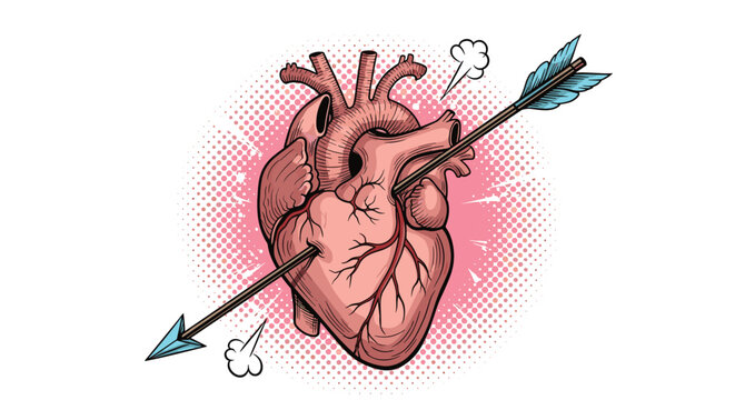 Realistic anatomical human heart pierced through by a large feathered arrow against a pink halftone dot circular background.