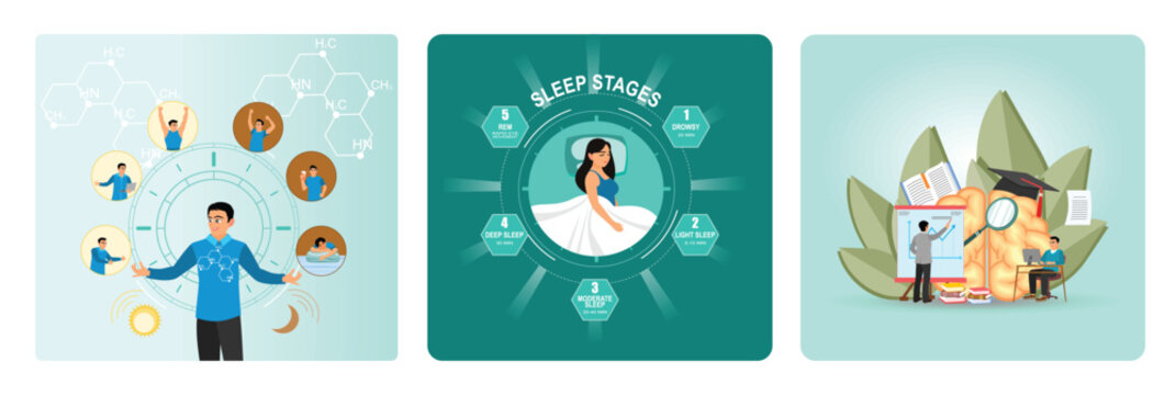 Healthy life balance cycle utter concept. Sleep stages. Education and training.