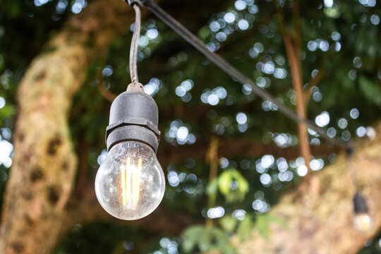 Selective focus of hanging light bulp. Garden decoration concept.