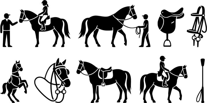 This comprehensive collection of equestrian icons depicts horse riding lessons, training equipment, and horse care items, suitable for educational materials, sports websites, and