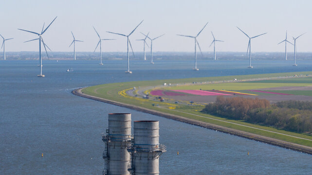 Aerial view of ENGIE Maxima plant chimneys and offshore wind turbines near colorful tulip fields along the coast in Lelystad, Flevoland, Netherlands.