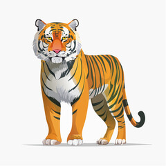 Fototapeta premium Tiger standing in front view posture.