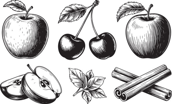 Hand sketch of apples, cherries and cinnamon sticks with leaves, cinnamon