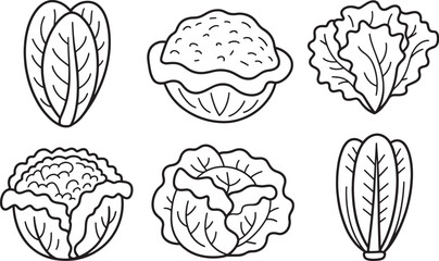 Fototapeta premium Outline Lettuce and Cabbage Vegetables Icon Set Black and White