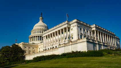 Naklejka premium America Capitol symbolizes federal authority. America Senate defines legislative power. America Congress shapes national policy. America government works in DC.