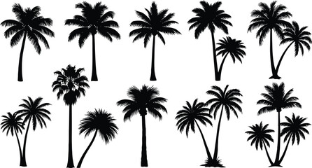 Fototapeta premium Collection of black silhouette palm trees on white background, tropical