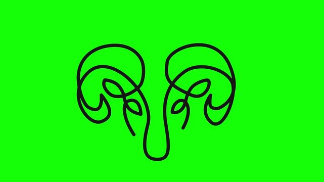 Aries Zodiac One Line Animation &ndash; Minimal Line Art Ram Symbol Motion Graphic