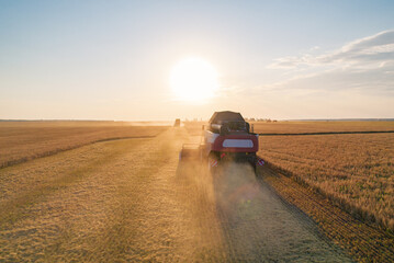 Fototapeta premium Aerial view captures combine harvester diligently working a vast golden wheat field at sunset, kicking up dust