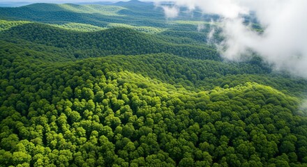 Obraz premium Aerial view of lush green forest hills and mountain peaks under soft clouds creating a scenic landscape panorama