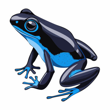 Black and blue frog sitting posture.