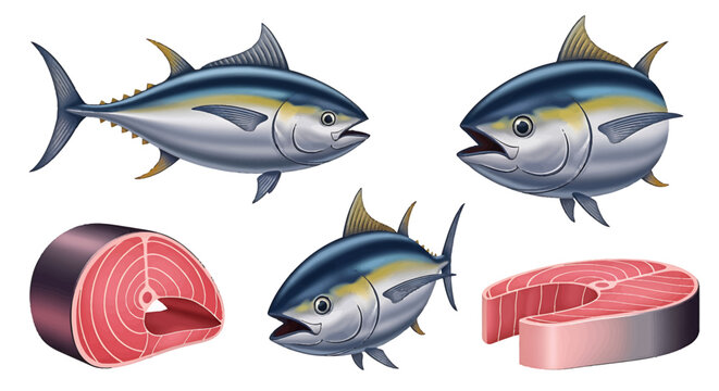 Illustration of a whole tuna fish and fresh tuna steaks, ready for consumption or cooking