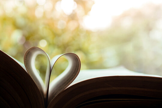 Book pages folded into heart shape, love reading concept, passion for books