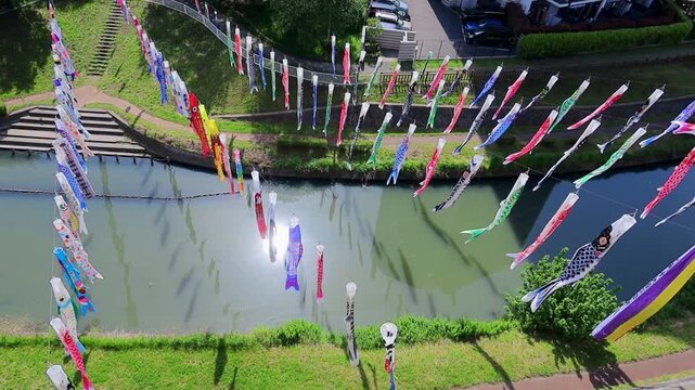 川のはるか上を泳ぐ色とりどりの鯉のぼりを見下ろす　埼玉県川口市芝川公園