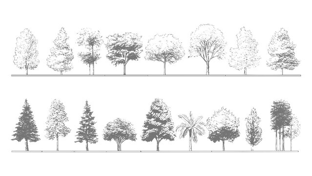Brutalist forest vector with halftone dot pattern Vintage trees graphic with distressed grunge overlay