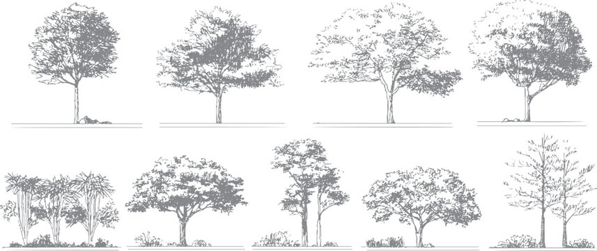 Brutalist forest vector with halftone dot pattern Vintage trees graphic with distressed grunge overlay