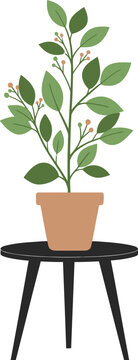 Potted plant on a small black table indoors