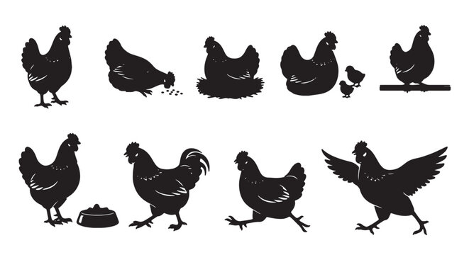 Black chicken silhouette collection, farm poultry bird vector set, hen and rooster icons for organic food branding and agriculture design