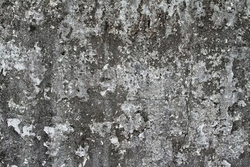 Fototapeta premium Textured Grey Concrete Wall Surface with Peeling Paint Details and Weathered Appearance, Offering a Rustic and Industrial Aesthetic for Backgrounds and Design Projects