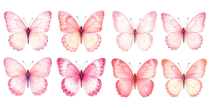A charming watercolor set of pink butterflies featuring delicate wings with soft pastel details illustrated in a natural hand painted style.