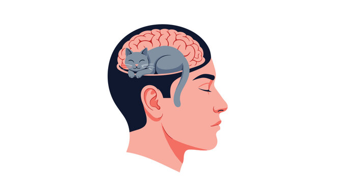 Conceptual illustration of a gray cat sleeping peacefully inside a man's brain representing calm thoughts and mental peace on white.