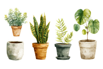 Obraz premium Set of flowers and plants in pots, garden plants isolated on white background png