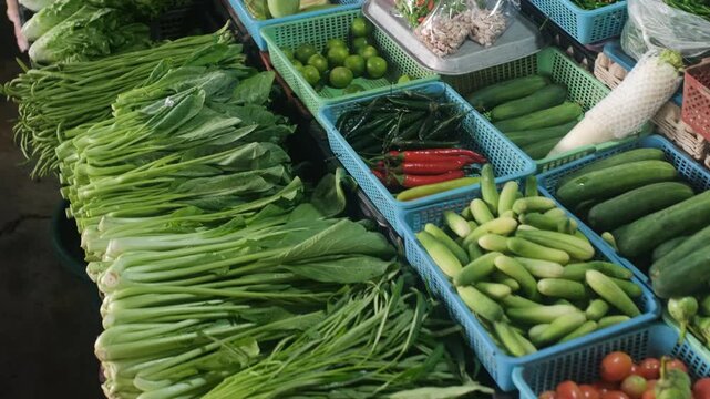 Market stall displaying cabbage tomatoes daikon chili onion lime green mango basil choy sum cucumbers eggplant beans mint napa cabbage and scallions. Fresh produce concept