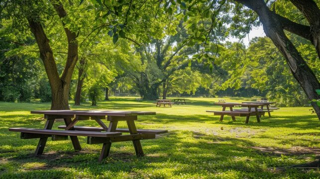 A serene park scene featuring wooden picnic tables surrounded by lush greenery and mature trees.  