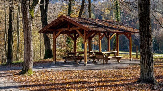 A rustic wooden picnic shelter nestled within a forested area, surrounded by leafless trees, showcasing a serene autumn scene with fallen leaves on the ground.  