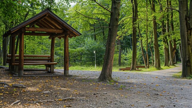 A wooden gazebo nestled in a lush forest, surrounded by vibrant green trees and fallen leaves on the ground, evoking a serene and peaceful atmosphere in a park setting.