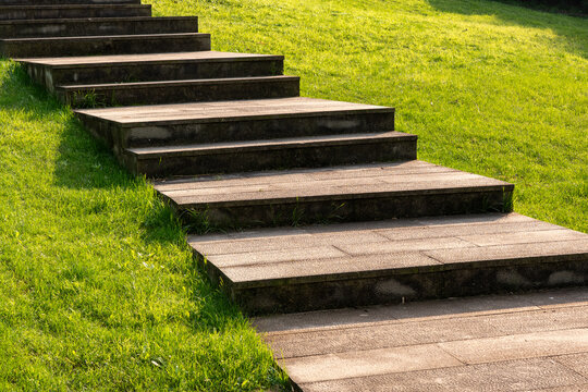 Stone Steps Leading Through Lush Green Grass in a Serene Park