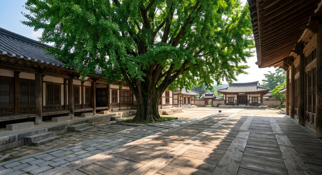 전주향교 명륜당 앞을 지키는 수백 년 된 은행나무의 짙은 여름 녹음과 선비 정신이 깃든 목조 건축물의 장엄함