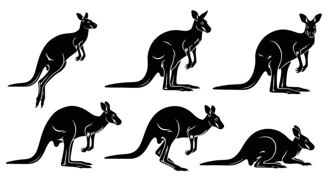 Kangaroo Silhouette Set, Vector Animal Icons in Various Poses