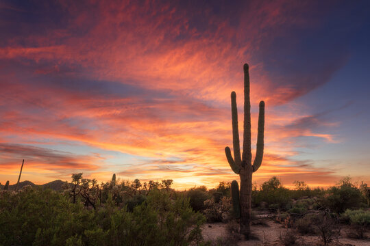 desert sunset in arizona