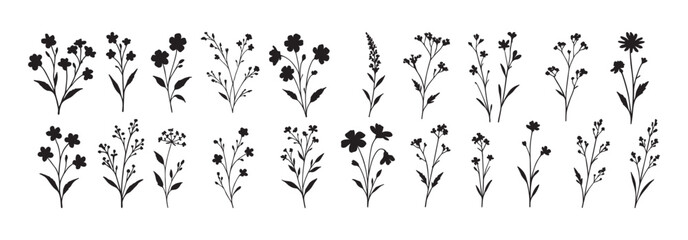 Set of wild flower and branch silhouettes. Black botanical elements isolated on white background © soesanto