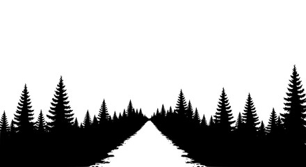 Fototapeta premium Black and White Silhouette of a Road Through a Pine Forest