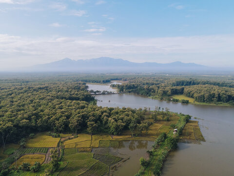 Aerial view of a winding river flowing through a dense tropical forest and green rice paddies with distant mountains under a clear sky Tanjungsari, Special Region of Yog, Indonesia.