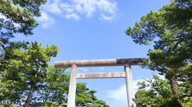 青空と神社の鳥居と松の木
