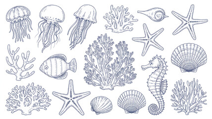 Collection of hand-drawn marine life illustrations including jellyfish seahorse fish coral and seashells perfect for ocean-themed designs and educational materials © Tanzeel