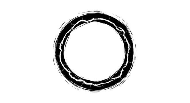 Black and white rubber O ring.