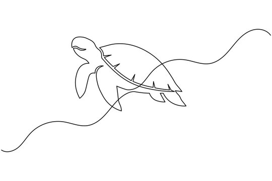 Elegant sea turtle continuous one line drawing minimal ocean animal outline vector Illustration
