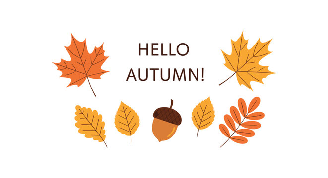 Autumn seasonal design featuring colorful maple leaves, an acorn, and the text hello autumn in a clean font style.