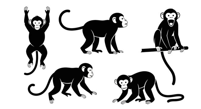 Set of Monkey Silhouettes in Various Poses