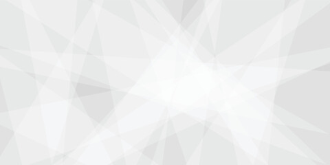 Fototapeta premium Abstract white and gray triangle geometric paper texture design this design are uses for style concept for banner, flyer, card, or brochure cover etc and quality full shape design .