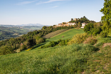 Obraz premium A view of Belvedere Fogliense, a little village on a hill, between Pesaro and Urbino in the Montefeltro region of Italy