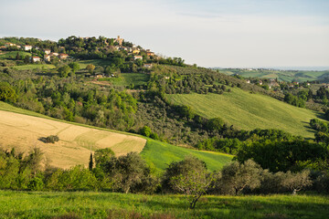 Naklejka premium Scenic panoramic view of Montegridolfo, a historic hilltop village in Italy, overlooking rolling farmland, olive groves, and sunlit rural landscapes under a clear blue sky