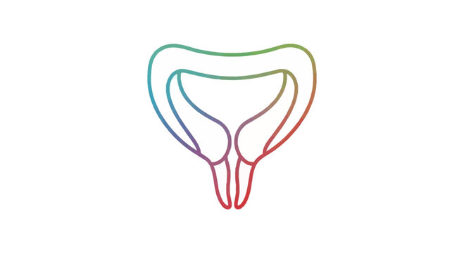 Abstract colorful outline of the female reproductive system, uterus and ovaries, isolated on white background.
