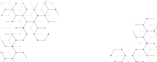Fototapeta premium Abstract geometric hexagonal wireframe network background illustration. This minimalist digital structure delivers a sophisticated technological framework optimized for contemporary corporate design.