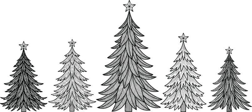 Christmas tree collection with decorative evergreen fir trees vintage engraved style holiday illustration set